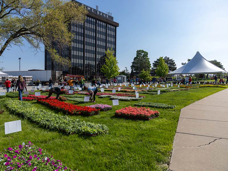 Plant Sale 800x600