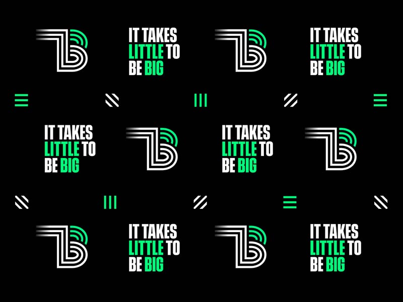 zoomBGs branded step repeat 800x600