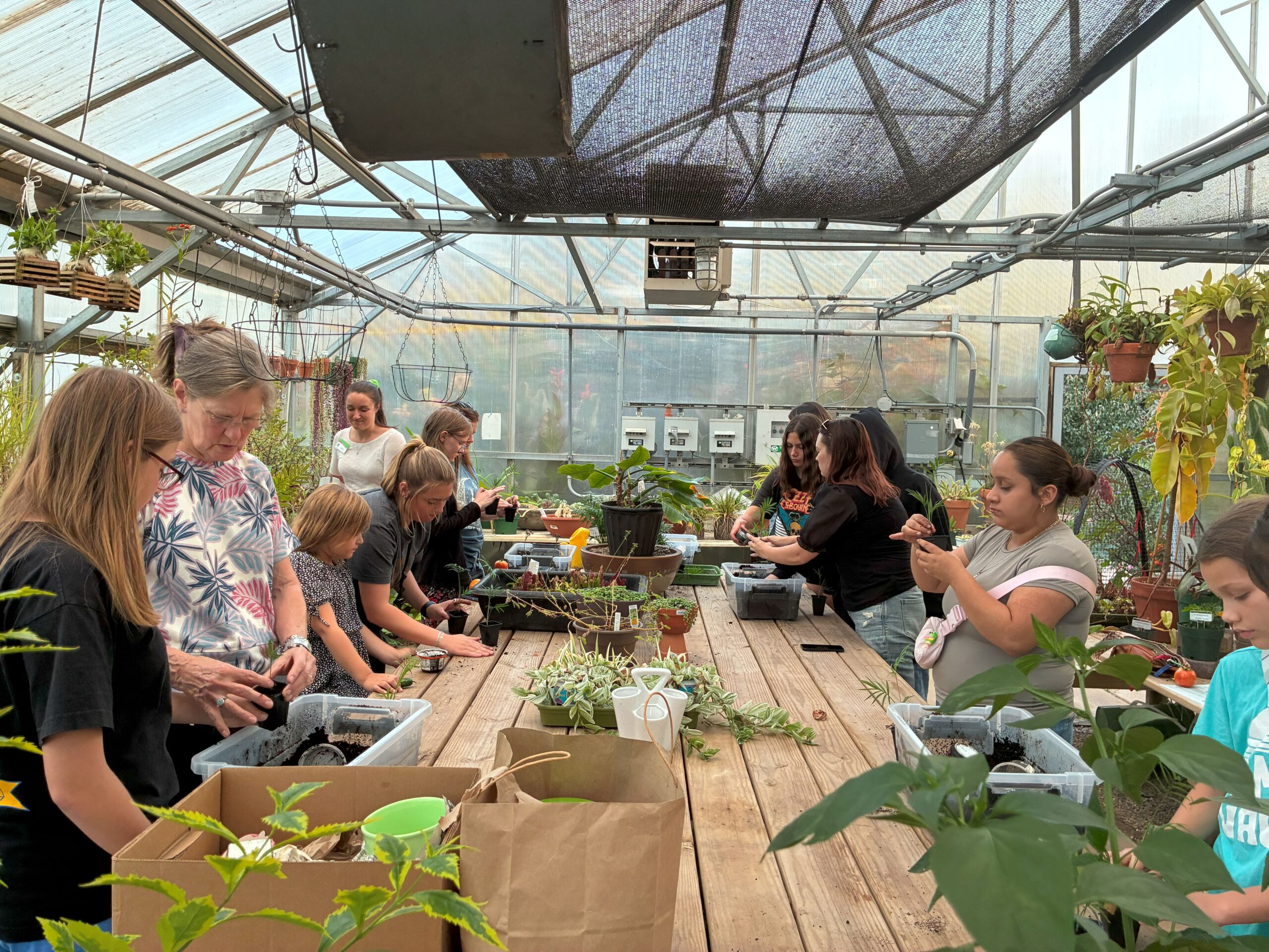 Group Mentoring